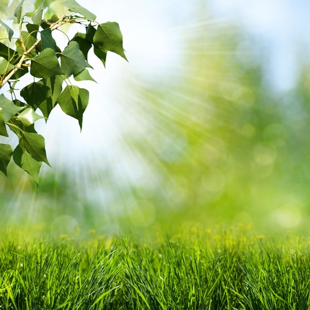 Sun beam. Abstract spring and summer backgroundsの写真素材