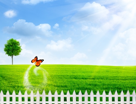 Rural summer abstract backgroundsの写真素材