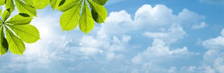 Blue skies with bright sun as abstract backgroundsの写真素材