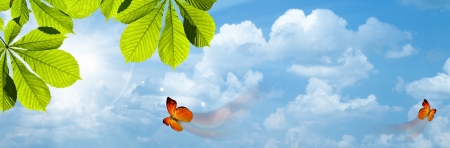 Butterfly. Blue skies with bright sun as abstract backgroundsの写真素材