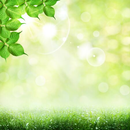Abstract spring and summer backgroundsの写真素材