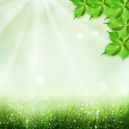 Abstract spring and summer backgroundsの写真素材