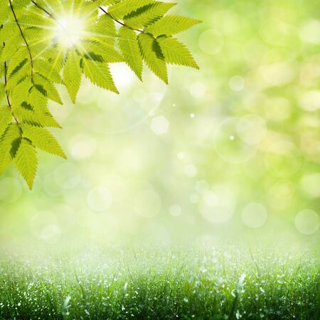 summer time. abstract optimistic backgrounds の写真素材