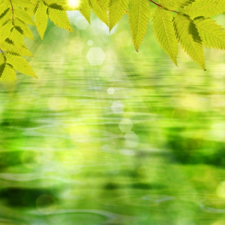 On the lake. Abstract summer backgroundsの写真素材