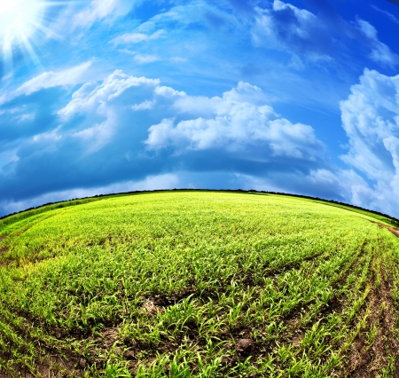 abstract summer landscape under the blue skiesの写真素材