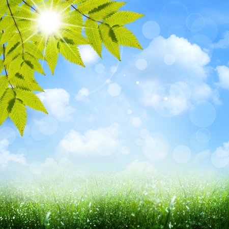 Under the blue skies. Abstract spring and summer backgroundsの写真素材