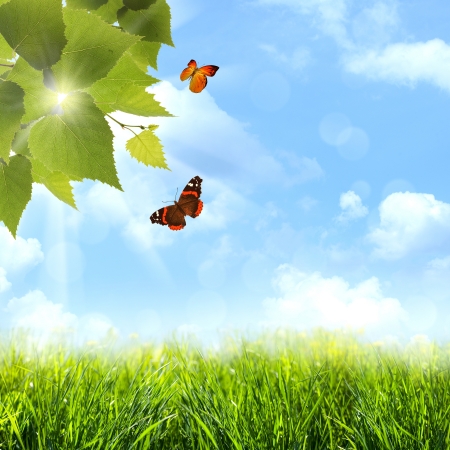 Under the blue skies. Abstract spring and summer backgroundsの写真素材