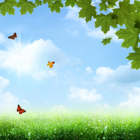 Under the blue skies. Abstract spring and summer backgroundsの写真素材