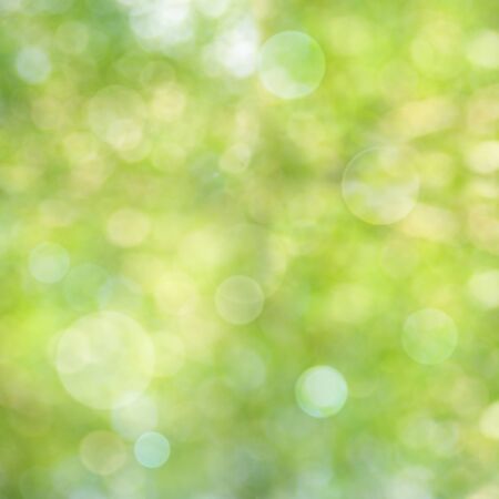 Abstract natural backgrounds with beauty bokehの写真素材