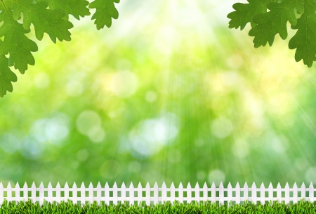 Nice summer day on the farm, abstract summer backgroundsの写真素材