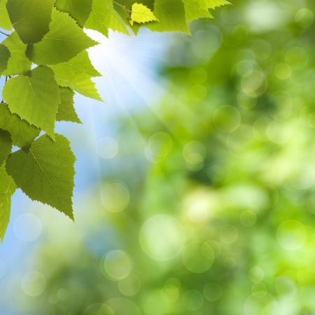 Natural summer and spring backgrounds with beauty bokehの写真素材