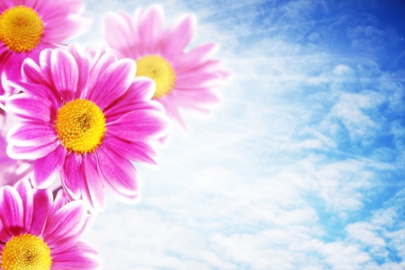 Pretty pink flowers against blue skies, abstract natural backgroundsの写真素材