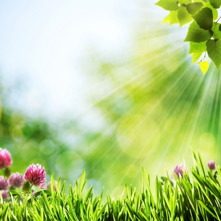 Have a nice day! Abstract natural backgroundsの写真素材