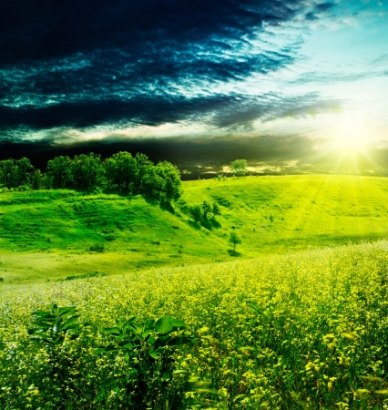 Dramatic evening over the summer meadow, natural backgroundsの写真素材