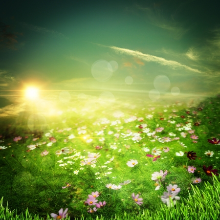 Sunrise on the meadow. Natural abstract backgroundsの写真素材
