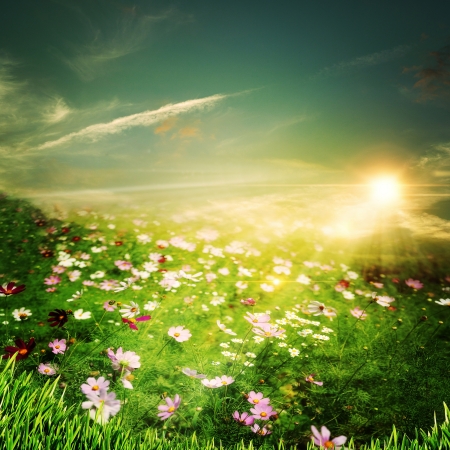 Misty morning on the countryside, natural backgroundsの写真素材