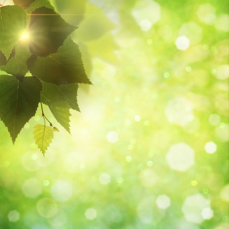 Sweet summer morning. Abstract natural backgroundsの写真素材