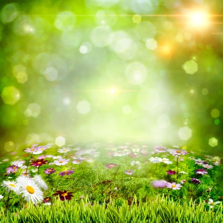 Abstract natural backgrounds with chamomile flowersの写真素材