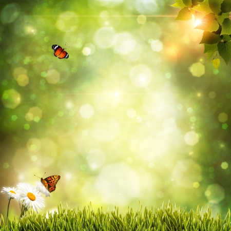 Abstract natural backgrounds with beauty bokehの写真素材