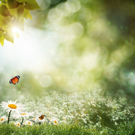 Abstract natural backgrounds with beauty bokehの写真素材