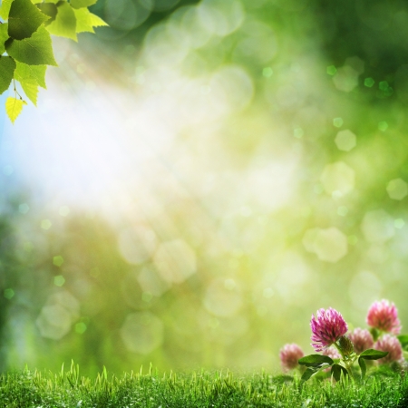 Abstract natural backgrounds with beauty bokehの写真素材