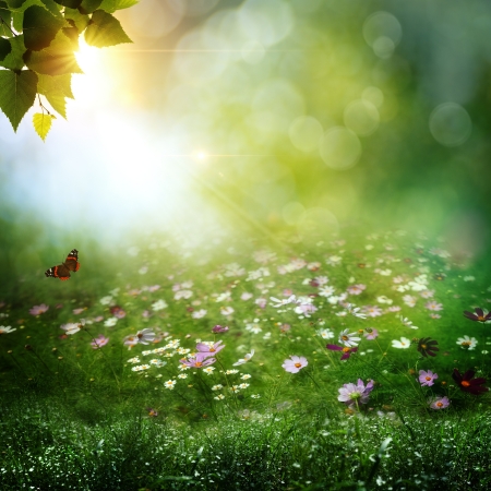 Early morning in the deep forest. Abstract natural backgroundsの写真素材