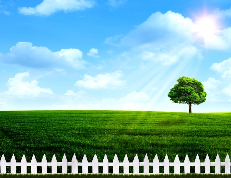 Summer time. Abstract rural landscapeの写真素材