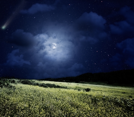 Nightly meadow. Natural summer backgrounds with comet and full moonの写真素材