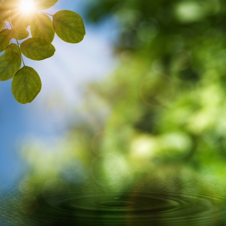 After the rain. Abstract natural backgroundsの写真素材