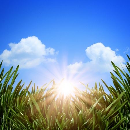 Under the blue skies, abstract natural backgroundsの写真素材