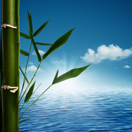 Abstract spa and healthy lifestyle backgroundsの写真素材