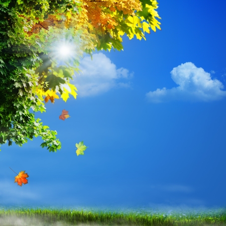 Misty morning on the meadow, abstract natural backgroundsの写真素材