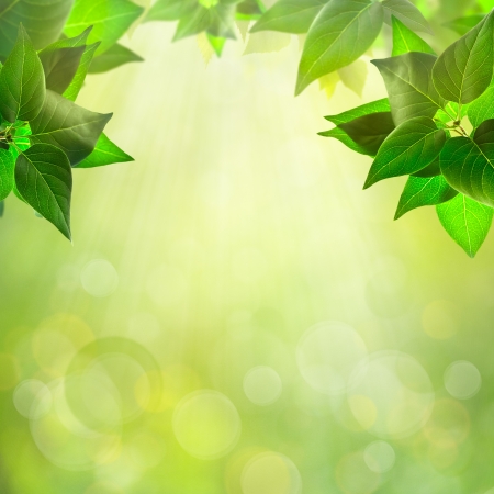 Abstract natural backgrounds for your designの写真素材