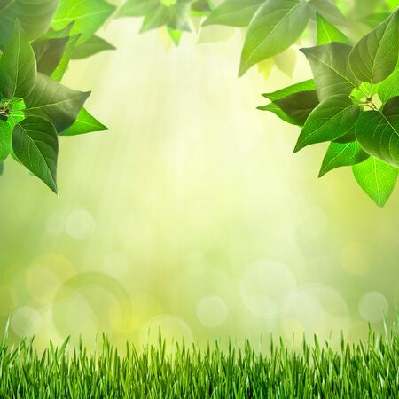 Abstract natural backgrounds for your designの写真素材