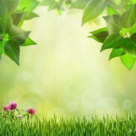 Abstract natural backgrounds for your designの写真素材