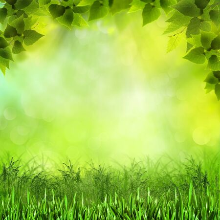 Natural neauty. Abstract natural backgrounds for your designの写真素材