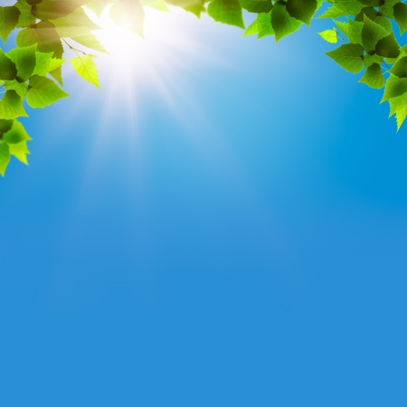 Under the blue skies. Abstract natural backgrounds for your designの写真素材