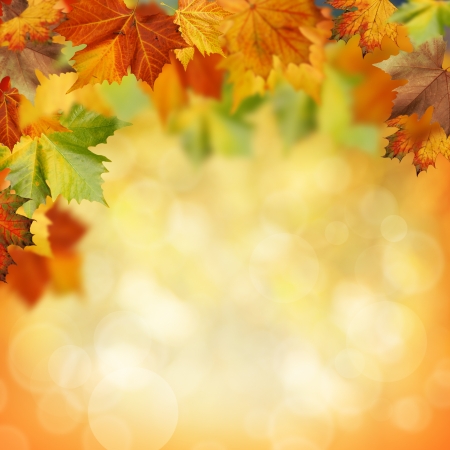Natural beauty. Autumnal abstract backgrounds for your designの写真素材