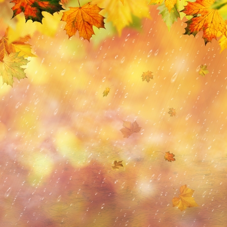 Abstract autumnal backgrounds for your designの写真素材