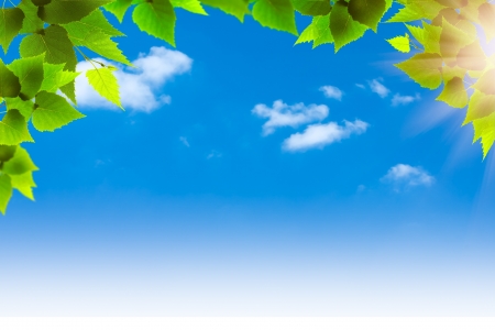 Blue skies. Abstract natural backgrounds for your designの写真素材