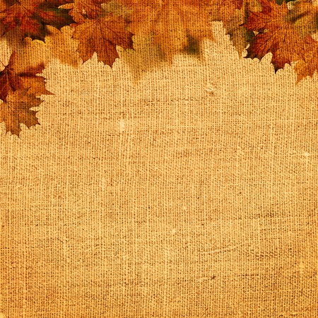 Autumnal abstract still life over hessian background for your designの写真素材