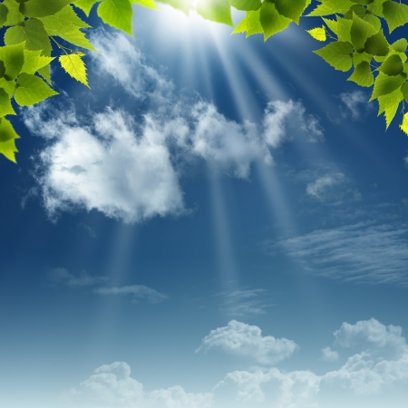 Under the blue skies. Abstract natural backgrounds for your designの写真素材