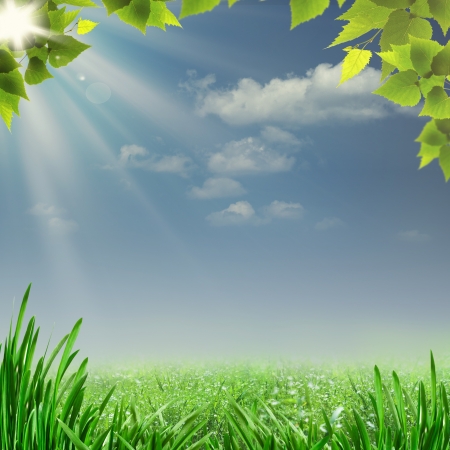 Misty summer noon  Abstract natural backgrounds for your designの写真素材