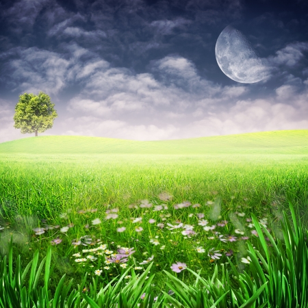Beauty evening on the meadow  Abstract natural backgrounds for your designの写真素材