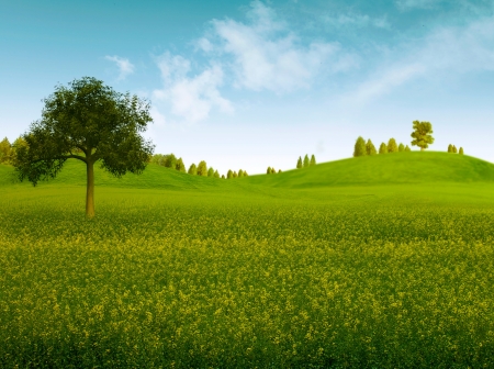 Bright summer afternoon  Natural backgrounds の写真素材