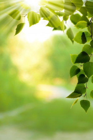 Abstract environmental backgrounds for your designの写真素材
