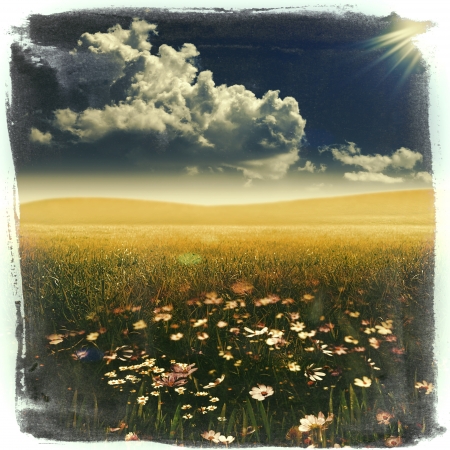 Watercolor Summer, abstract grungy landscapeの写真素材