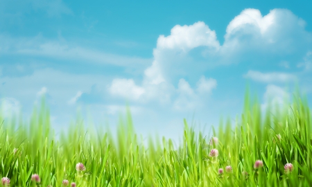 Natural rural backgrounds with copy spaceの写真素材