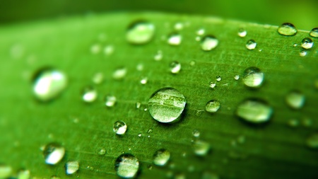 Morning dew, abstract natural backgroundsの写真素材