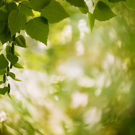 Abstract natural backgrounds with petzval lens bokehの写真素材